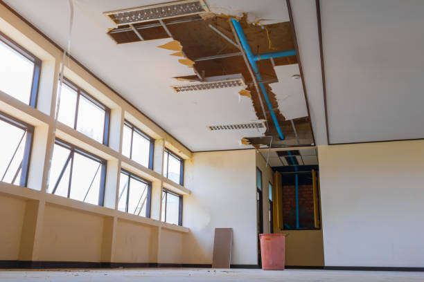Best Water damage restoration near me  in Kaaawa, HI