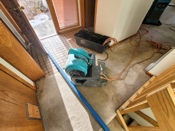 24/7 water damage repair in HI