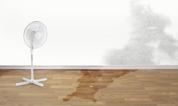 Best Sewage cleanup and water damage restoration  in Kaaawa, HI