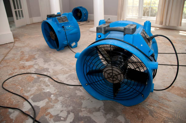 Best Residential water damage restoration  in Kaaawa, HI
