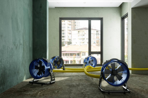 Best Water damage restoration services  in Kaaawa, HI